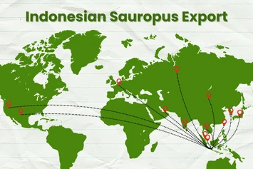 katuk, daun katuk, daun sauropus androgynus, jual daun katuk, daun katuk kering, ekstrak daun katuk, serbuk daun katuk, bubuk daun katuk, pabrik daun katuk, produsen daun katuk, perusahaan daun katuk, supplier daun katuk, distributor daun katuk, jual katuk kering, pabrik katuk, produsen katuk, perusahaan katuk, supplier katuk, distributor katuk, simplisia daun katuk