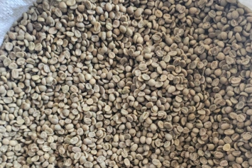 kopi, biji kopi, kopi bubuk, kopi arabika, kopi robusta, jual kopi, biji kopi kering, kopi hijau, green coffee, kopi sangrai, roasted beans, ekstrak kopi, pabrik kopi, produsen kopi, perusahaan kopi, supplier kopi, distributor kopi, jual biji kopi, pabrik biji kopi, produsen biji kopi, perusahaan biji kopi, supplier biji kopi, distributor biji kopi
