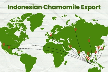 chamomile, bunga chamomile, kamomil, bunga kamomil, matricaria chamomilla, jual chamomile, chamomile kering, bunga chamomile kering, ekstrak chamomile, minyak chamomile, pabrik chamomile, produsen chamomile, perusahaan chamomile, supplier chamomile, distributor chamomile, jual bunga kamomil, pabrik bunga chamomile, produsen bunga chamomile, perusahaan bunga chamomile, supplier bunga chamomile, distributor bunga chamomile, simplisia bunga chamomile