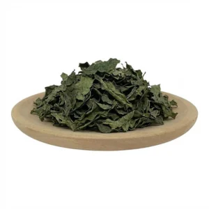 katuk, daun katuk, daun sauropus androgynus, jual daun katuk, daun katuk kering, ekstrak daun katuk, serbuk daun katuk, bubuk daun katuk, pabrik daun katuk, produsen daun katuk, perusahaan daun katuk, supplier daun katuk, distributor daun katuk, jual katuk kering, pabrik katuk, produsen katuk, perusahaan katuk, supplier katuk, distributor katuk, simplisia daun katuk