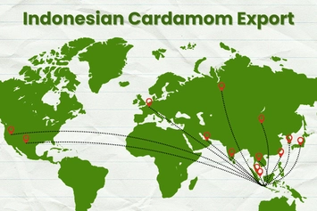 kemiri, biji kemiri, kemiri kupas, kemiri utuh, kemiri aleurites moluccanus, jual kemiri, kemiri kering, minyak kemiri, ekstrak kemiri, pabrik kemiri, produsen kemiri, perusahaan kemiri, supplier kemiri, distributor kemiri, jual biji kemiri, pabrik biji kemiri, produsen biji kemiri, perusahaan biji kemiri, supplier biji kemiri, distributor biji kemiri, simplisia kemiri