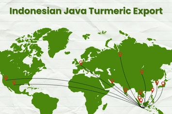 kunyit, rimpang kunyit, curcuma longa, kunyit kuning, jual kunyit, kunyit kering, rimpang kunyit kering, ekstrak kunyit, serbuk kunyit, bubuk kunyit, pabrik kunyit, produsen kunyit, perusahaan kunyit, supplier kunyit, distributor kunyit, jual kunyit kering, pabrik rimpang kunyit, produsen rimpang kunyit, perusahaan rimpang kunyit, supplier rimpang kunyit, distributor rimpang kunyit, simplisia kunyit