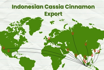 kayu manis, kayu manis batang, kulit kayu manis, kayu manis bubuk, jual kayu manis, kayu manis kering, kayu manis cinnamon, ekstrak kayu manis, minyak atsiri kayu manis, pabrik kayu manis, produsen kayu manis, perusahaan kayu manis, supplier kayu manis, distributor kayu manis, jual kayu manis kering, pabrik kulit kayu manis, produsen kulit kayu manis, perusahaan kulit kayu manis, supplier kulit kayu manis, distributor kulit kayu manis