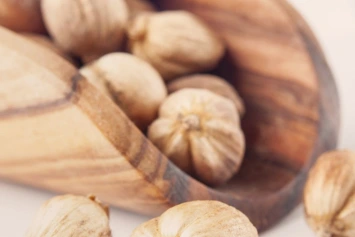 kemiri, biji kemiri, kemiri kupas, kemiri utuh, kemiri aleurites moluccanus, jual kemiri, kemiri kering, minyak kemiri, ekstrak kemiri, pabrik kemiri, produsen kemiri, perusahaan kemiri, supplier kemiri, distributor kemiri, jual biji kemiri, pabrik biji kemiri, produsen biji kemiri, perusahaan biji kemiri, supplier biji kemiri, distributor biji kemiri, simplisia kemiri