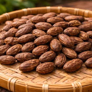 cocoa, kakao, cokelat, biji kakao, theobroma cacao, jual cocoa, biji kakao kering, kakao fermentasi, bubuk kakao, lemak kakao, ekstrak cocoa, cocoa powder, pabrik cocoa, produsen cocoa, perusahaan cocoa, supplier cocoa, distributor cocoa, jual biji kakao, pabrik biji kakao, produsen biji kakao, perusahaan biji kakao, supplier biji kakao, distributor biji kakao